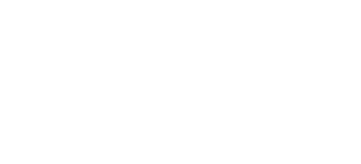 Pie Insurance